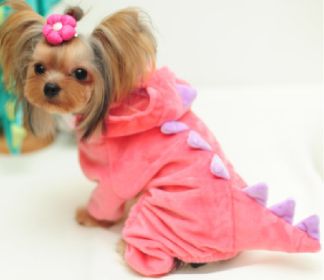 Halloween Dog Clothes Stretch Dinosaur Transformation Costume (Option: Pink-M)